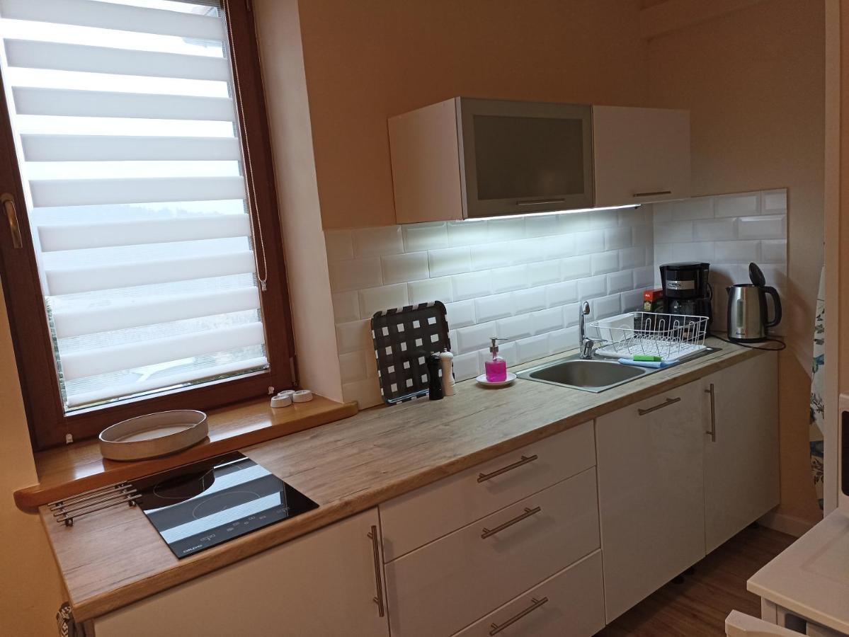 Przytulne Studio Borowkowy Zagajnik Piechowice  Extérieur photo