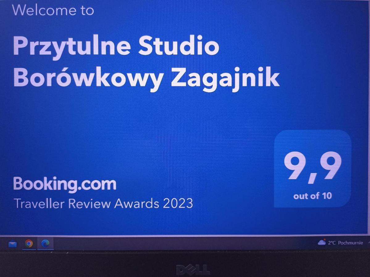 Przytulne Studio Borowkowy Zagajnik Piechowice  Extérieur photo