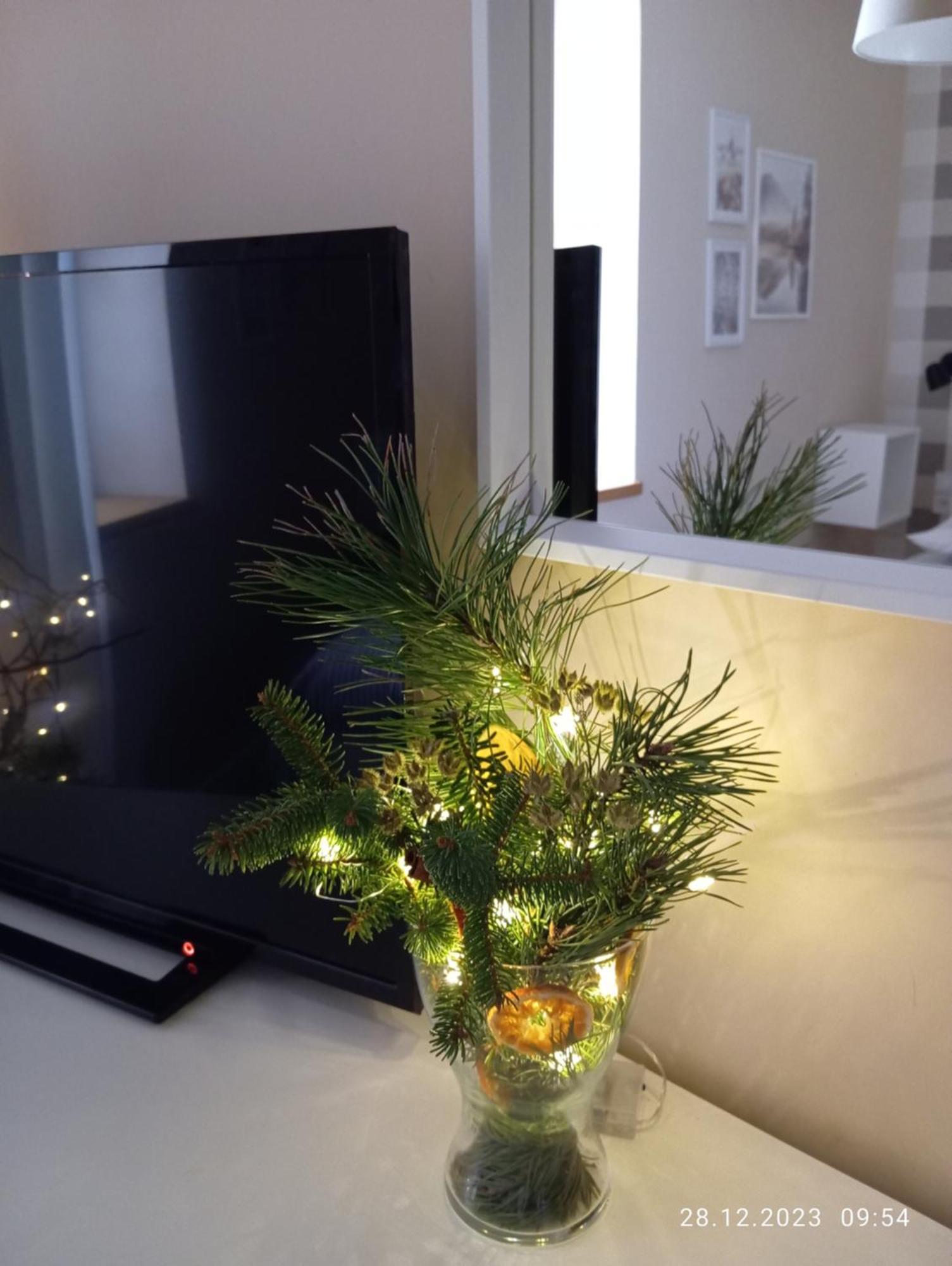 Przytulne Studio Borowkowy Zagajnik Piechowice  Extérieur photo